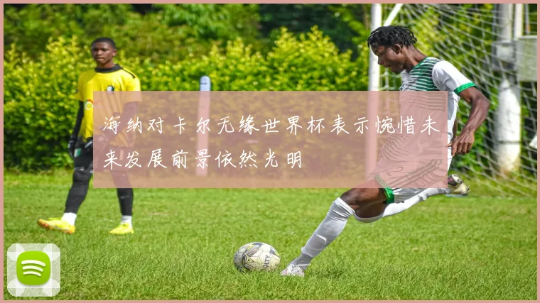 海纳对卡尔无缘世界杯表示惋惜未来发展前景依然光明