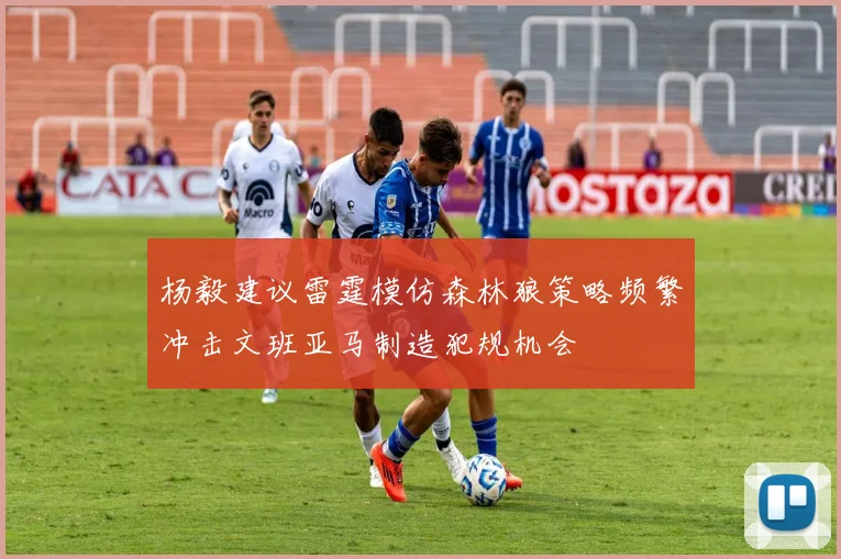 杨毅建议雷霆模仿森林狼策略频繁冲击文班亚马制造犯规机会