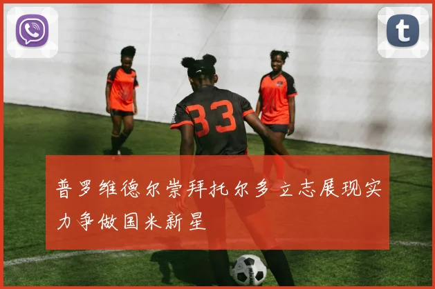 普罗维德尔崇拜托尔多立志展现实力争做国米新星