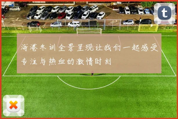 海港冬训全景呈现让我们一起感受专注与热血的激情时刻