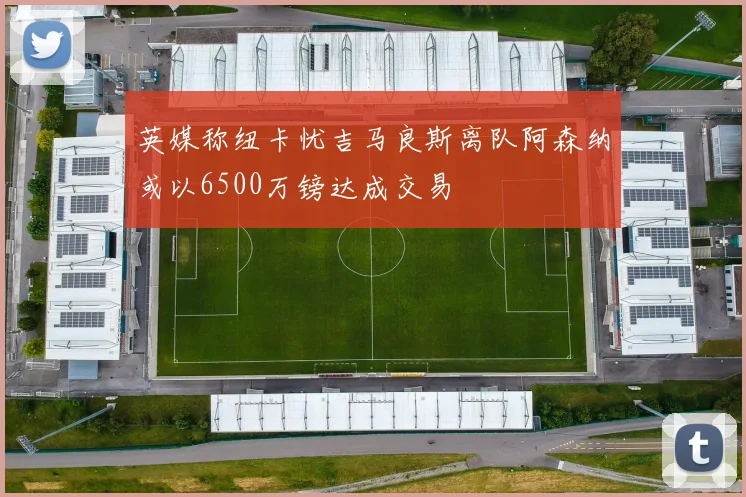 英媒称纽卡忧吉马良斯离队阿森纳或以6500万镑达成交易