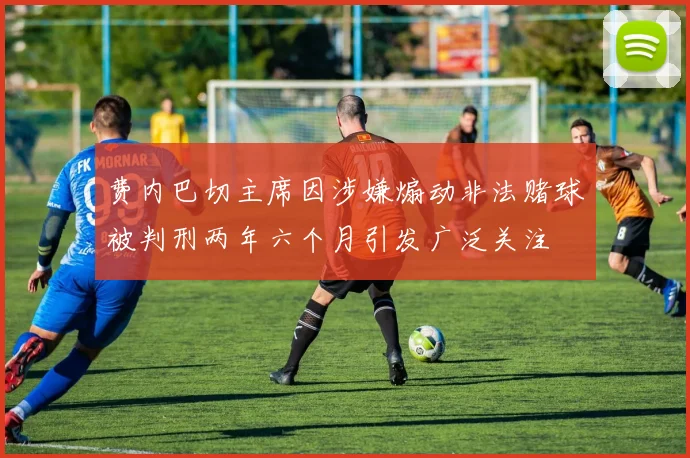 费内巴切主席因涉嫌煽动非法赌球被判刑两年六个月引发广泛关注